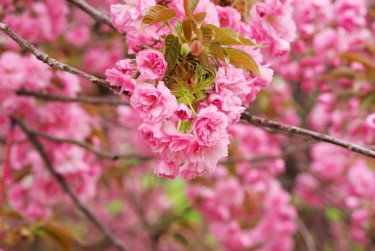 南通海安7线下个人借款平台一站式服务，轻松解决资金难题