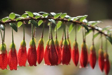 南通海安7零用贷短借：轻松解决临时资金需求