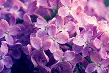 南通海安7企业急用钱贷款攻略：快速融资解燃眉之急